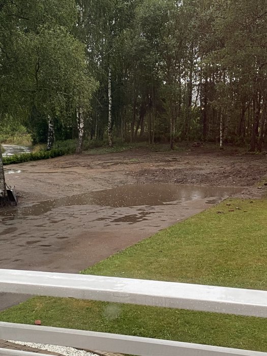 Uppfart med vattenpöl omgiven av gräs, grus och träd, sett från huset.