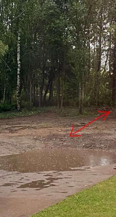 Vattenpöl med en röd pil som pekar mot en presumtiv plats för dräneringsrör i skogsmark.