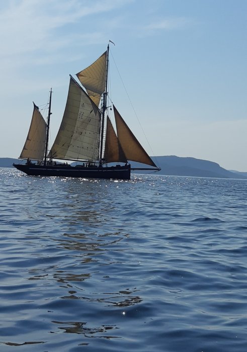 Segelbåt med uppfällda segel på lugnt hav mot en klarblå himmel.
