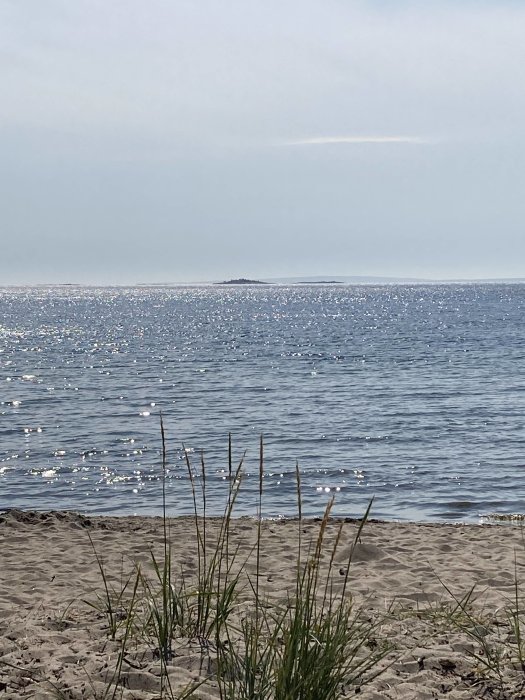 Strandvy med sand, havsgräs i förgrunden och glittrande vatten med en ö i horisonten.