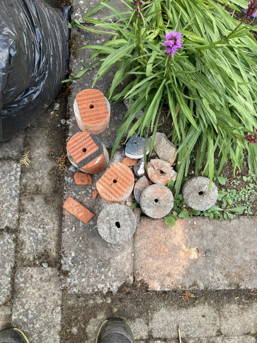 Samling av olika typer av tegel och sten i trädgården bredvid en växt.