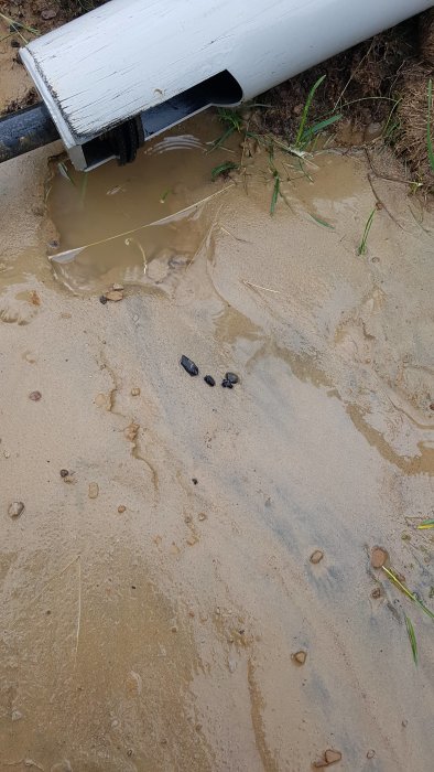 Sand och lerklumpar på marken med en del av en vit rörände och grässtrån som sticker upp.