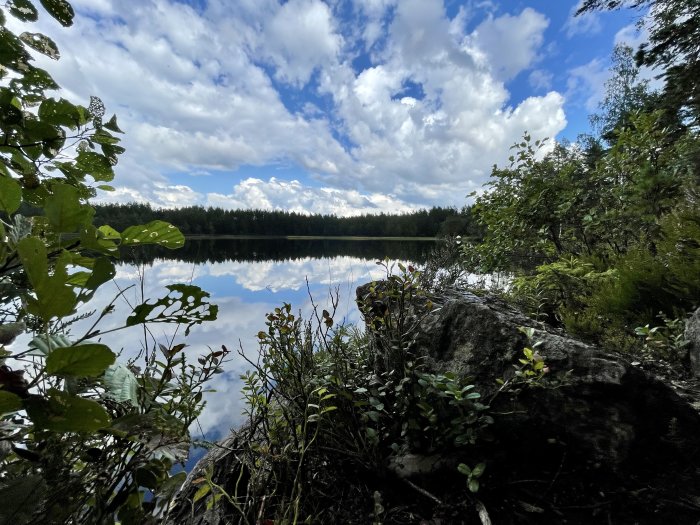 Speglad skogssjö med molnig himmel vid Kungsberget, omgiven av grönska och stenar i förgrunden.