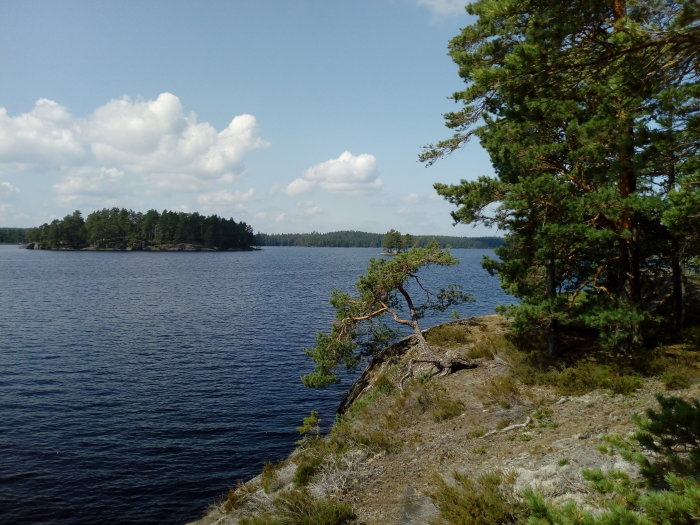 Utsikt över Tiveden med stilla vatten, skogbeklädda öar och tallar vid klippkanten.