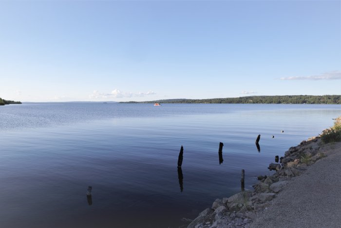 Vy över en stilla sjö med träpålar som sticker upp ur vattnet, en båt i fjärran och klar himmel ovanför.