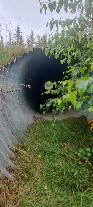 Stor svart kulvert i landskap med grönska och gräs, sett från ena änden med ljusinsläpp i andra änden.