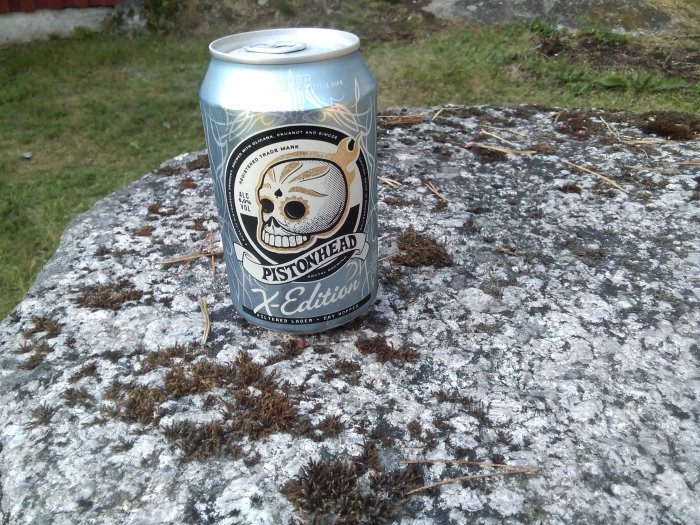 Ölburk med dödskalle-design står på en mossa och lav täckt sten.