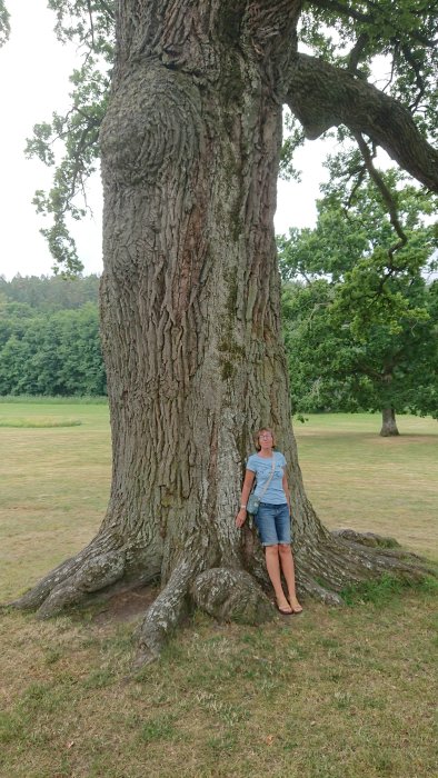 Person lutad mot en tjock gammal trädstam i parkmiljö.