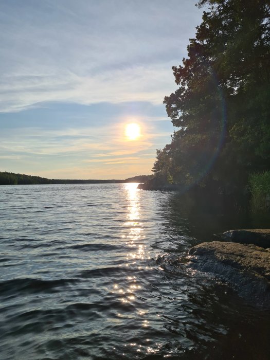 Solnedgång över en insjö med reflektioner på vattenytan en sommarkväll omgiven av träd.