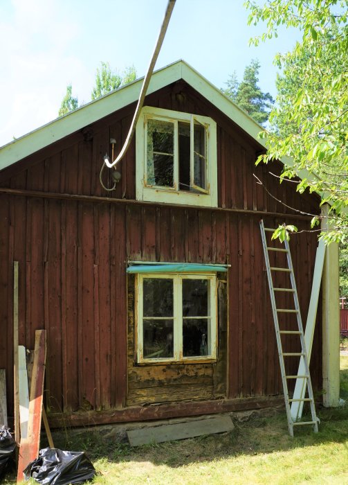 Skadad vägg på timrat fritidshus med skador från insekter och fukt, samt en stege lutad mot huset.