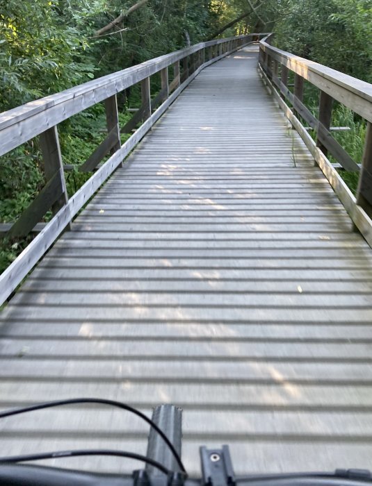 Träbro i skogsmiljö sedd från en cykelstyres perspektiv.