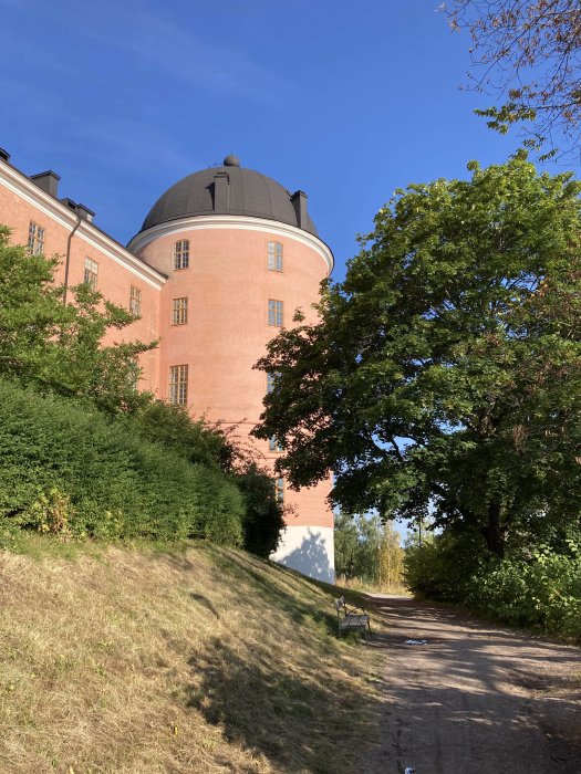 Rosa byggnad med kupoltak omgiven av gröna träd och en grusgång under en klarblå himmel.