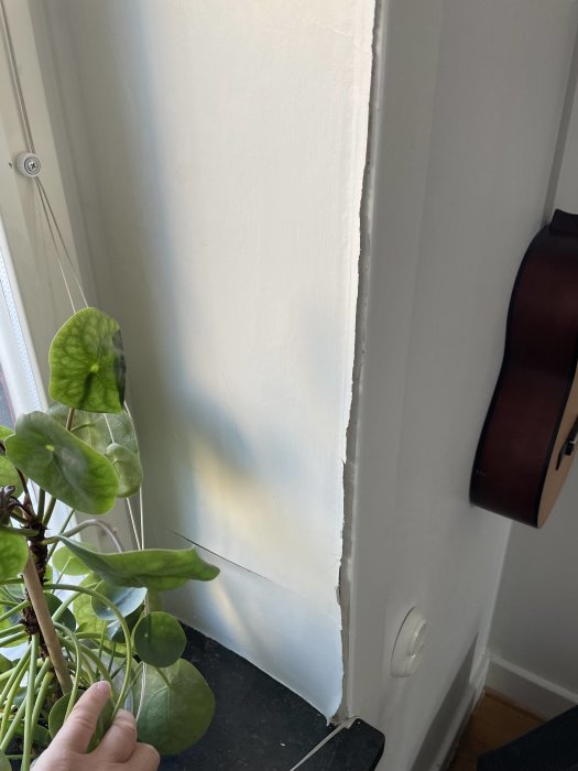 Krullande och sprucken puts vid fönstersmyg i en lägenhet från 1930-talet.