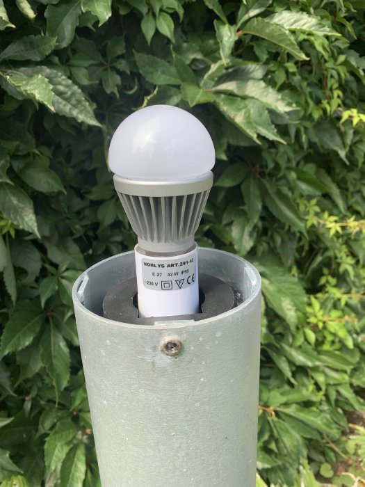 GE LED-lampa i utomhusarmatur mot gröna löv, med specifikationer synliga på sockeln: E27, 220-240V, och IP55.