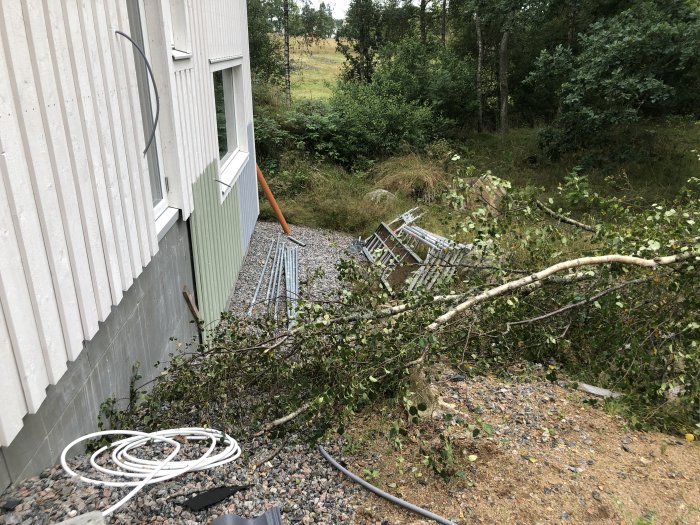 Nyligen fällt träd som ligger nära husgrund med grenar och löv över gräsmatta och en stentrappa.