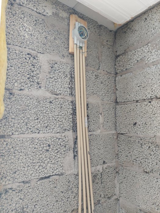 Elektriska ledningar och en lysknapp som går längs en oputsad källarvägg av betongblock.