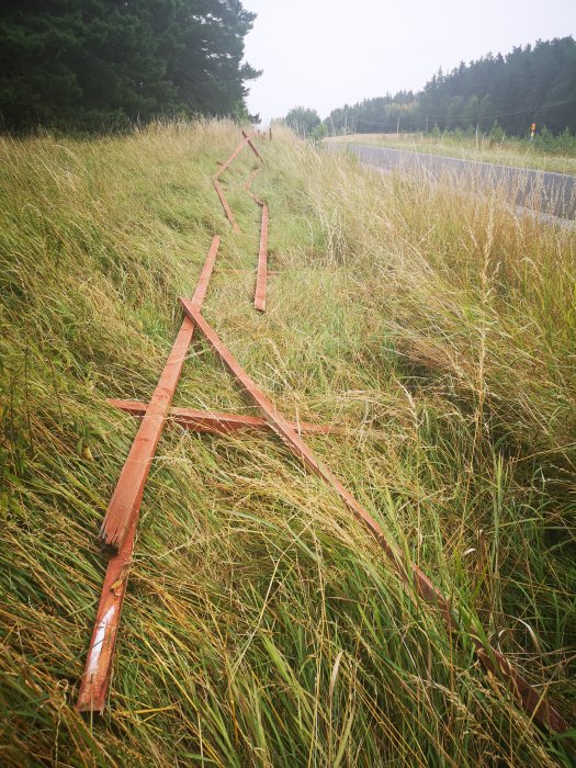 Ett trasigt trästaket ligger nedrivet och uppslitet bland långt gräs vid sidan av en väg.