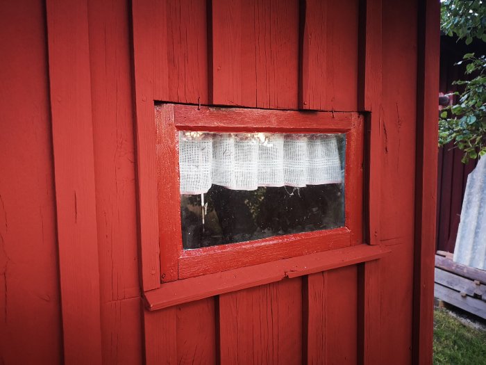 Renoverat och nymålat röd utedasstfönster med vita spetsgardiner och reflexioner av grönska.