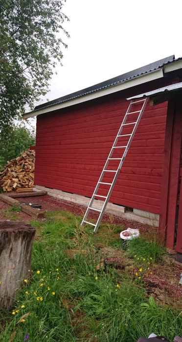 Rödmålad carport med hög vägg och stege lutad mot den, omgivet av högt gräs och vedstack i bakgrunden.