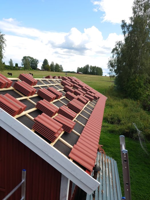 Tak med röda tegelpannor på en byggnad med omgivande landskap, en stege och verktyg synliga.