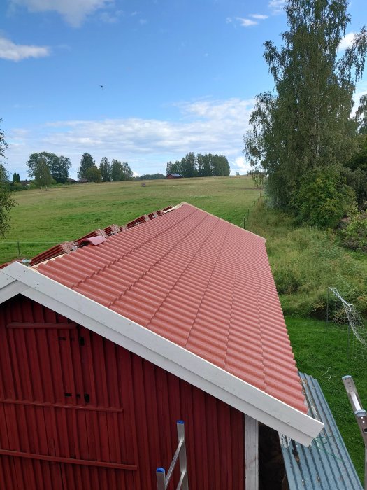 Nyinstallerade röda takpannor på ett hus med omgivande grönt landskap, och en stege mot väggen.