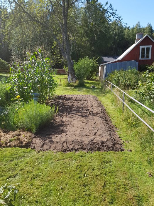 Nyutbyggt grönsaksland i en lantlig trädgård med välklippt gräsmatta och träd i bakgrunden.