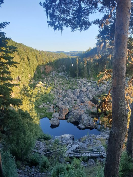 Naturvy med klippblock, träd, en damm och trätrappor i en skogsmiljö.