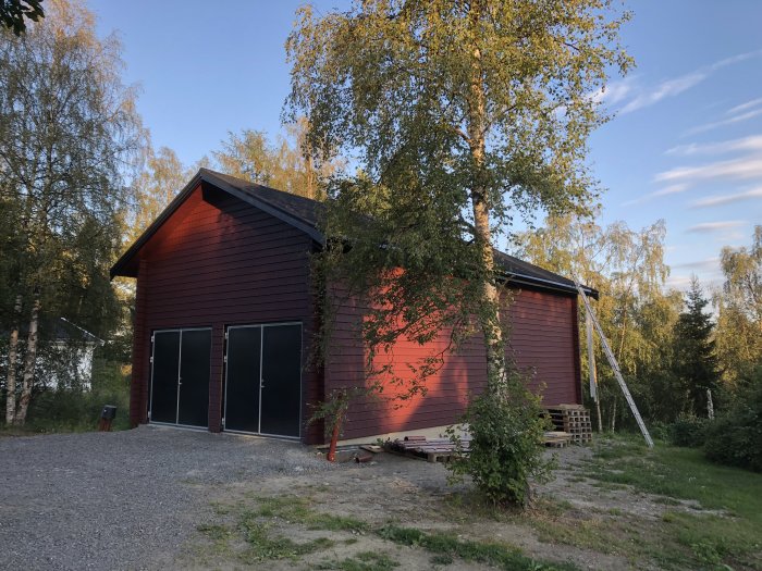 Ny målad röd träfasad på hus med osatta fönster och dörr, omgiven av träd och en stege lutad mot huset.