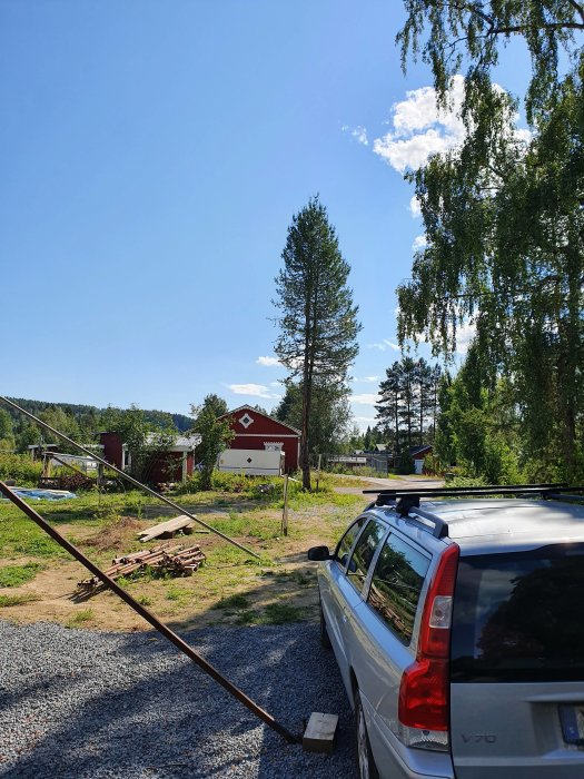 Två lärkträd står framför en klar himmel bakom en silverfärgad personbil och timmer på marken.