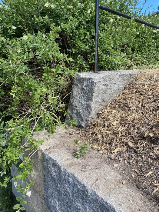 Stödmur med sprängsten och tunt jordlager bakom, växtlighet ovanför och räcke i bakgrunden.