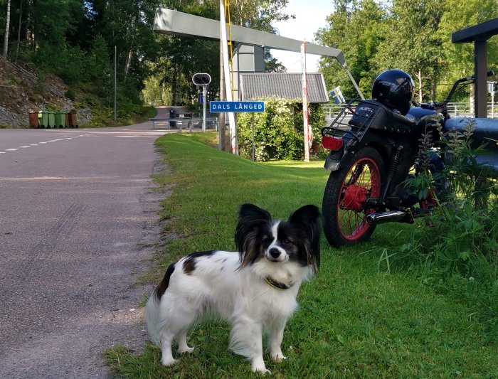 Hund framför en motorcykel vid ingången till nionde slussen i Dalslandskanal, Mustadfors.