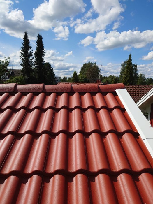 Nylagda röda takpannor på hus, med trädetoppar och blå himmel med moln i bakgrunden.