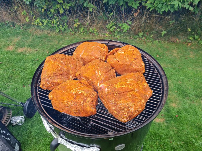 Rökt fläskkarré kryddad på en smokergrill på en gräsmatta.