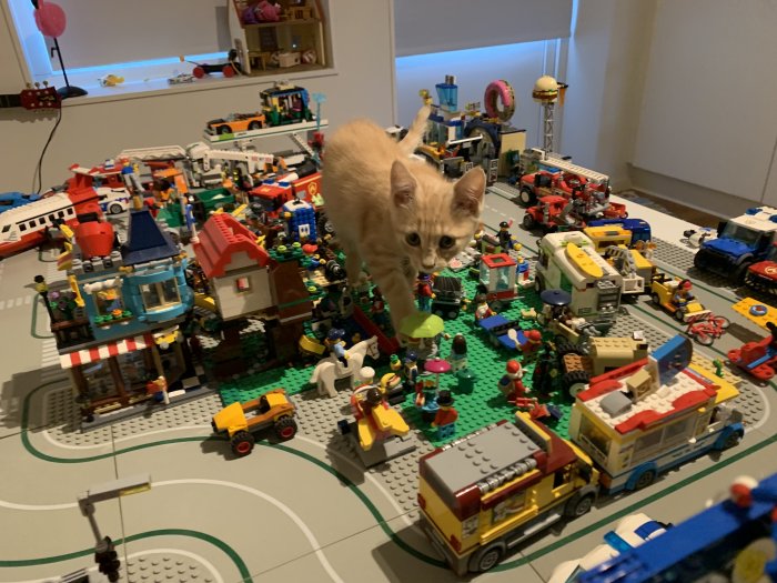 Kattunge står mitt i en detaljerad LEGO-stad med fordon och figurer.