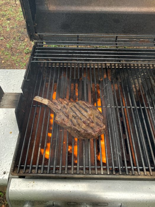 Entrecote på ben grillas över öppen eld på en grill.