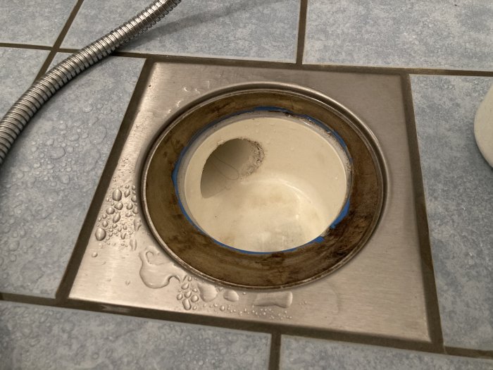 Golvbrunn i badrum med spår av gnagarskador på kanten och vattendroppar på ytan.