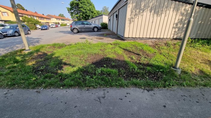 Ojämnt växande gräs på en fläckig gräsmatta nära en parkeringsplats.