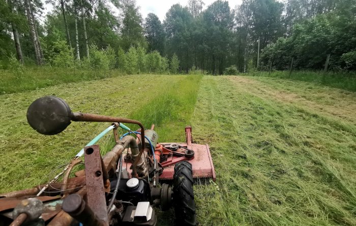 Utsikt från en gammal traktor som klipper gräset i en stor, öppen, före detta fårhage omgiven av träd.