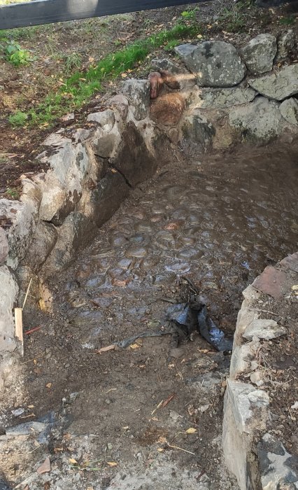 Vattenpöl ovanpå schifferplattor vid ingången till en jordkällare med stenmur runtomkring.