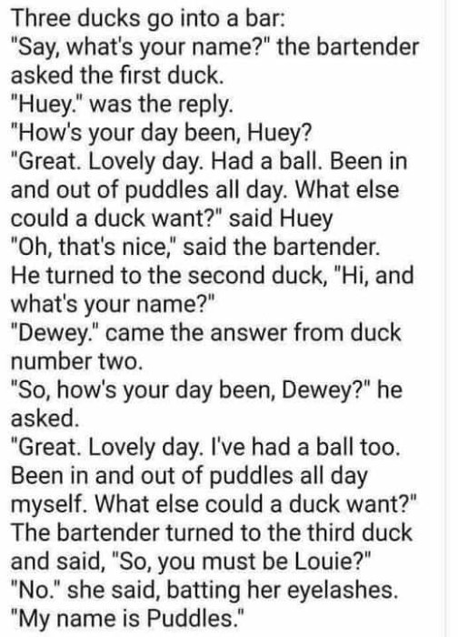 Skärmklipp av en humoristisk text där tre ankor går in på en bar och presenterar sina namn som är Huey, Dewey och Puddles.