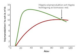 Graf som visar högsta volymproduktion och högsta kolinlagring av biomassa i ved över tid, med markering vid 55-65 års ålder.