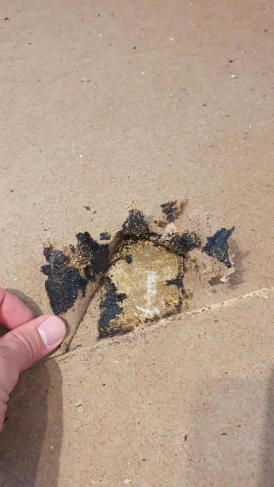 Hand avslöjar undanröjt golvområde med svart lim och underlagsfoam på ett underliggande betonggolv.