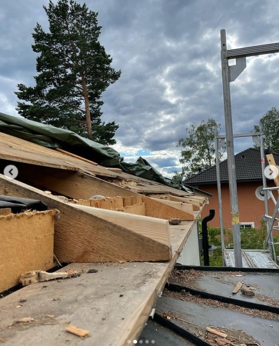 Renovering av tak med ny råspont och pågående arbete med takduk, mot bakgrund av träd och himmel.