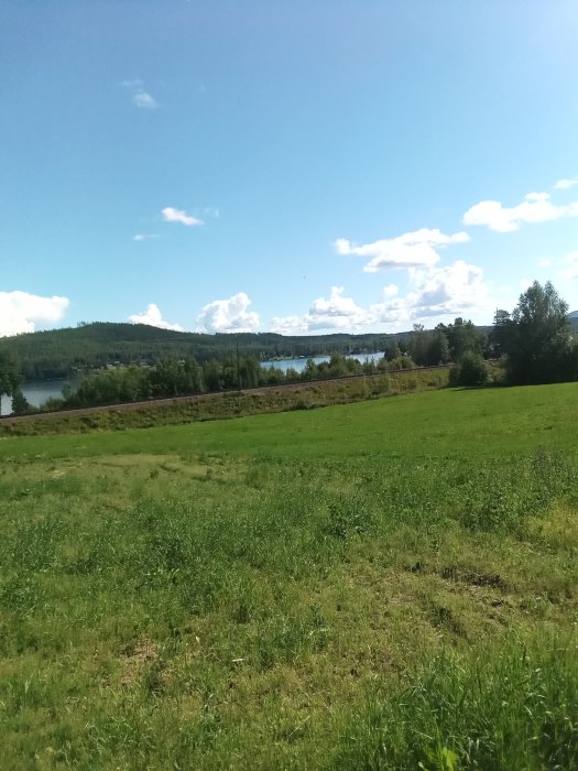 Idylliskt landskap med grönt fält i förgrunden och en sjö med skog bakom under klar himmel.