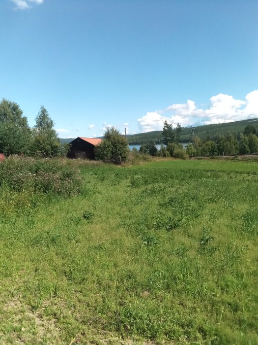 Lantligt landskap med grön äng och en ladugård i bakgrunden under en klarblå himmel.