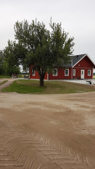 Röd stuga med ny lagd marksten och ett stort grönt träd i en trädgård.