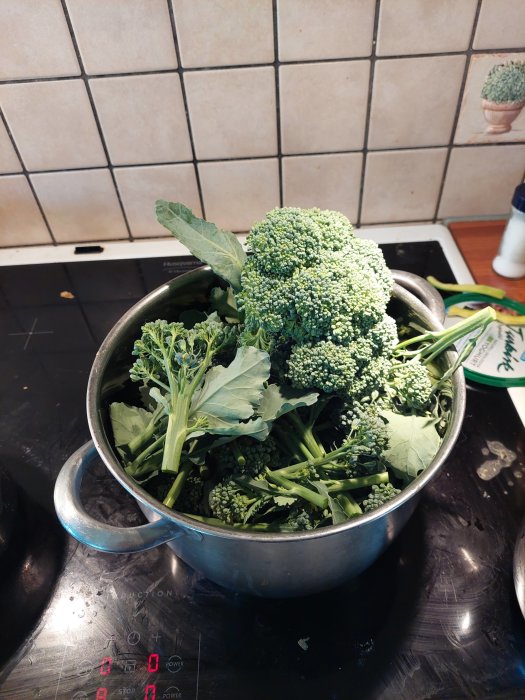 Stor bukett med broccoli och några kronärtskockor i en silverfärgad kastrull på spishäll.