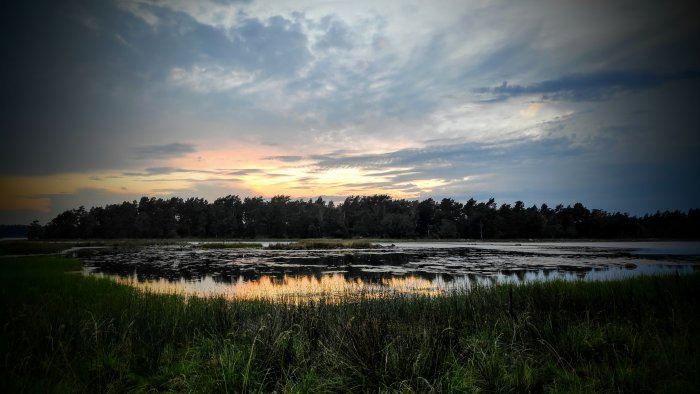 Solnedgång vid kusten med reflektioner på vattnet och silhuetter av träd mot en färgrik himmel.