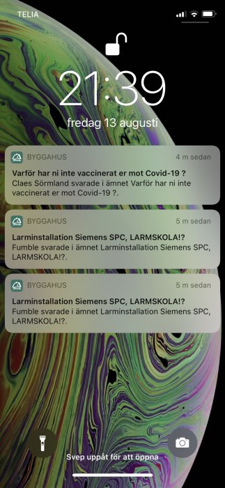 Skärmdump av mobiltelefon med dubbla notiser från ett diskussionsforum.