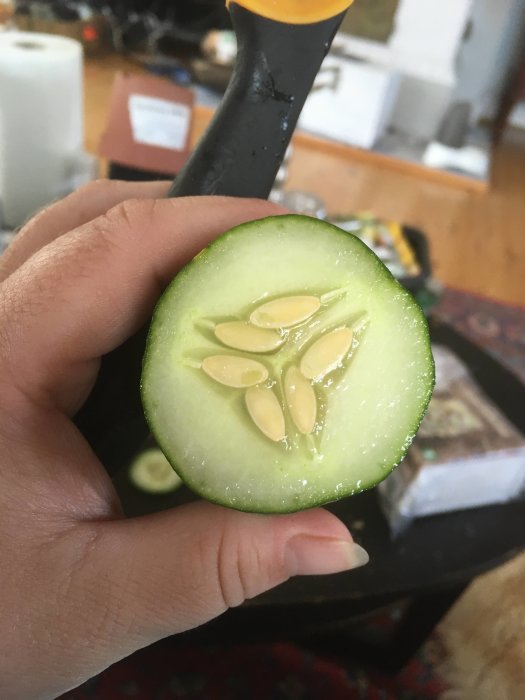 Hand håller en nyskuren liten gurka som visar frön och kärnhus.